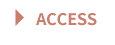 ACCESS